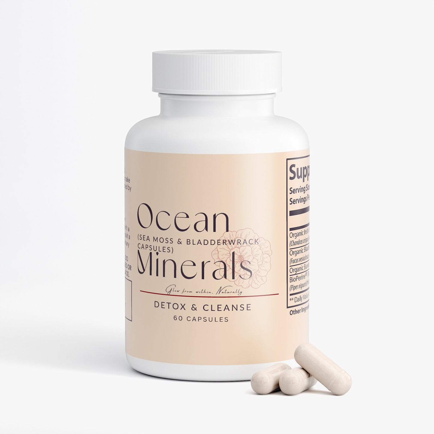 Ocean Minerals