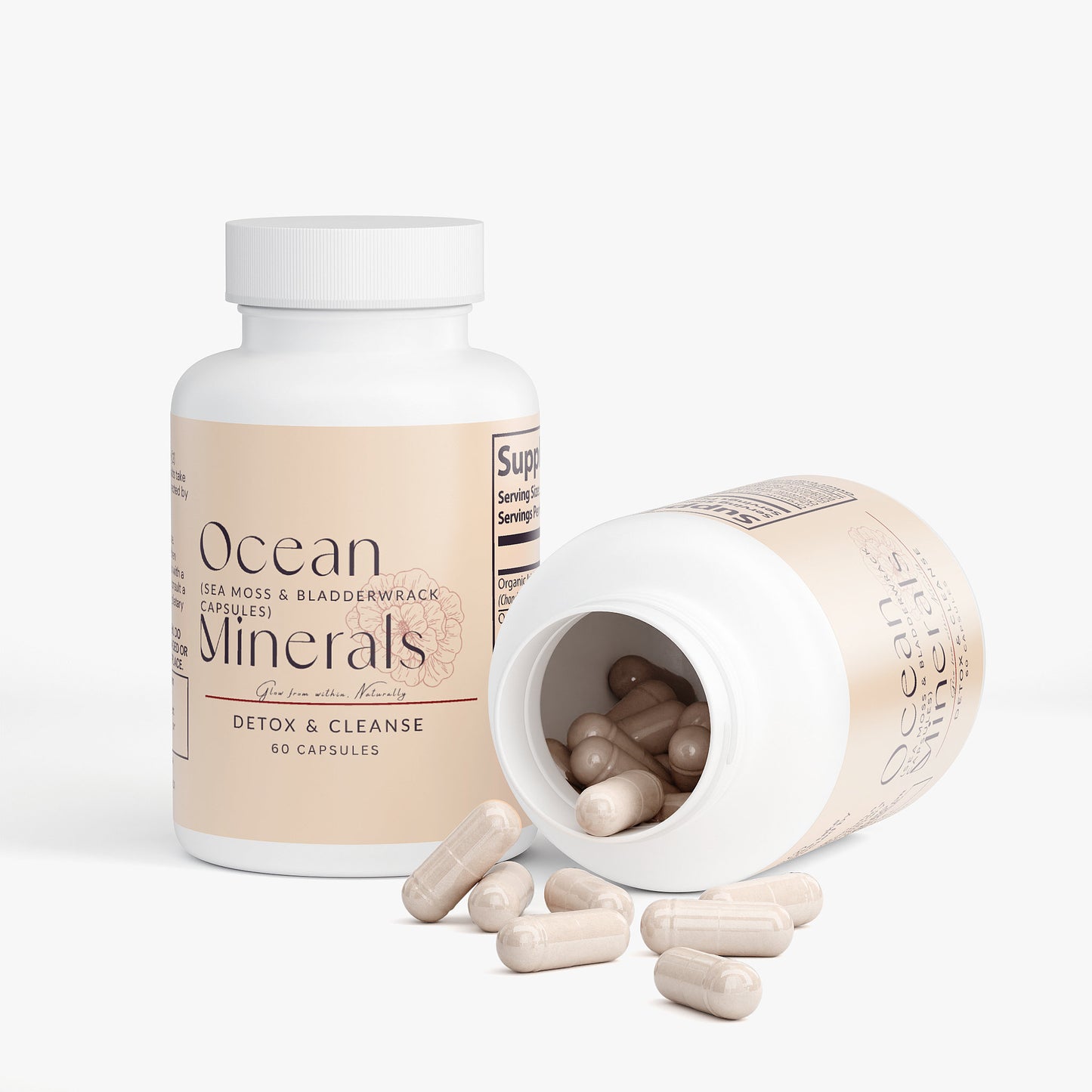 Ocean Minerals